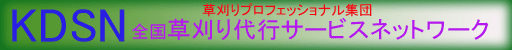 SsT[rXlbg[N